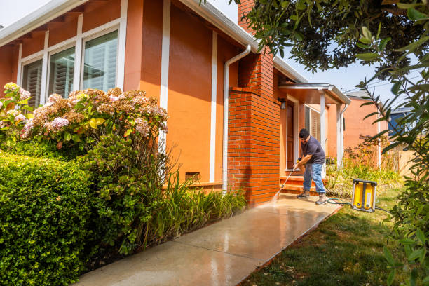 Trusted Grandwood Park, IL Pressure Washing Experts