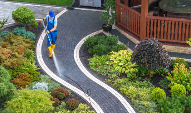 Best House Pressure Washing  in Grandwood Park, IL